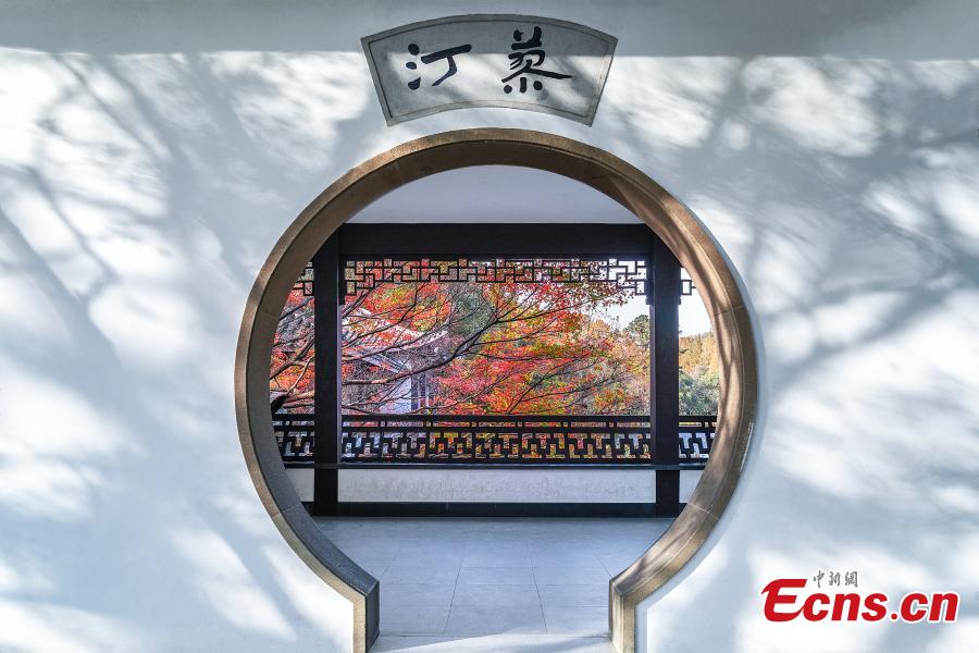 Galeria: cores do outono em Hangzhou, cidade-sede dos 19o Jogos Asiáticos