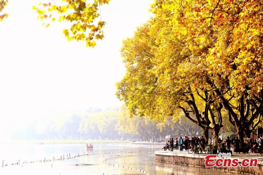 Galeria: cores do outono em Hangzhou, cidade-sede dos 19o Jogos Asiáticos
