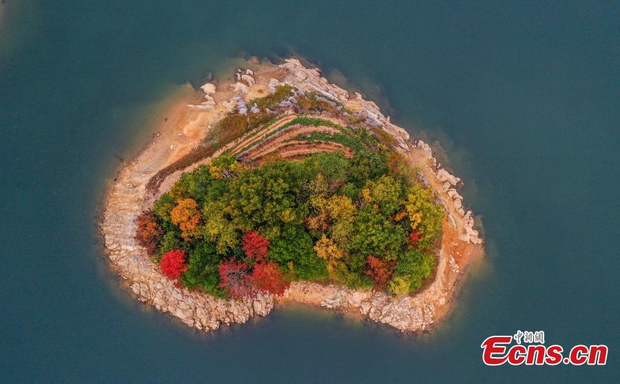 Galeria: cores do outono em Hangzhou, cidade-sede dos 19o Jogos Asiáticos