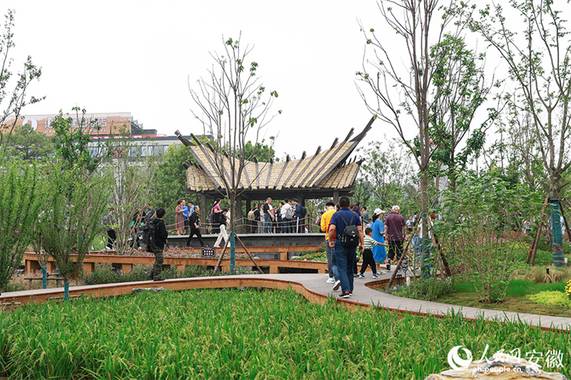 14a Exposi??o Internacional de Jardins da China é inaugurada em Hefei