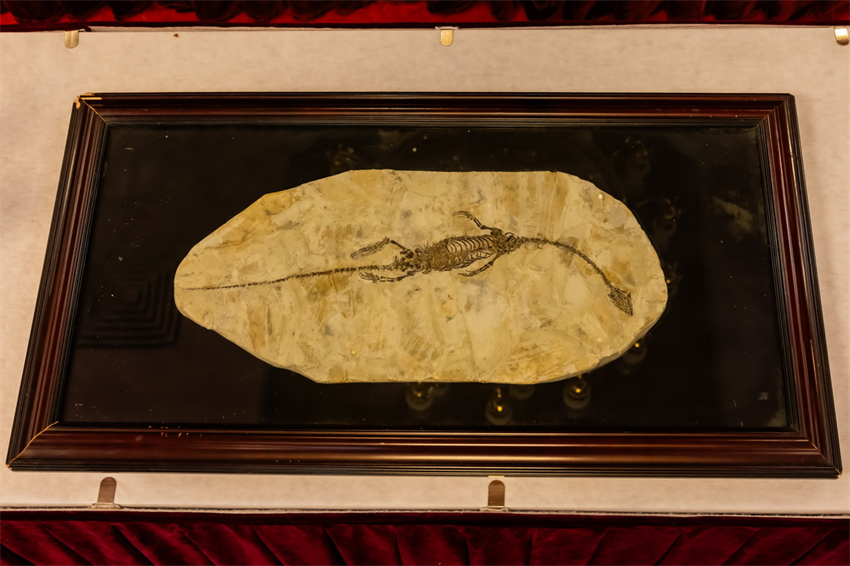 Austrália devolve à China artefatos e relíquias