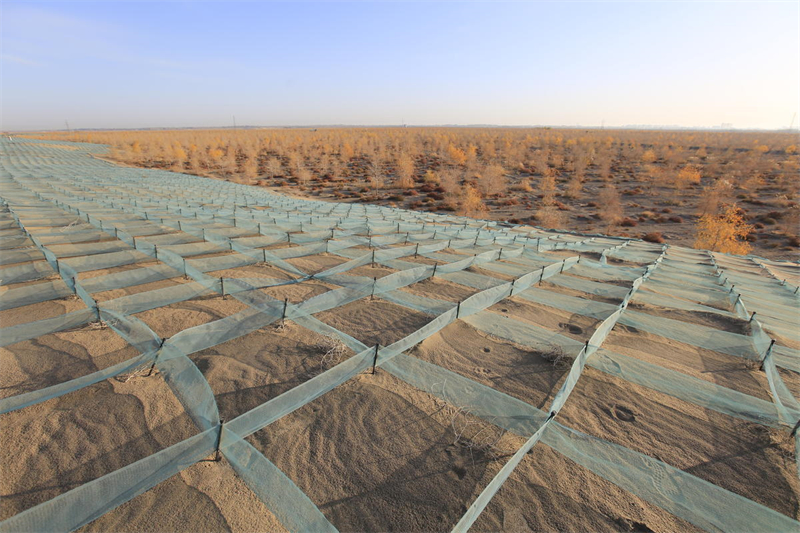 Refloresta??o em massa contribui para controle de tempestades de areia no noroeste da China