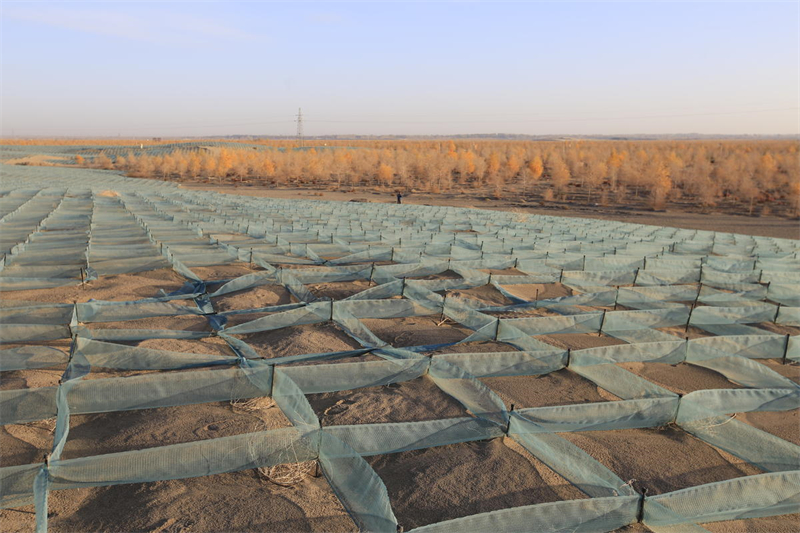 Refloresta??o em massa contribui para controle de tempestades de areia no noroeste da China