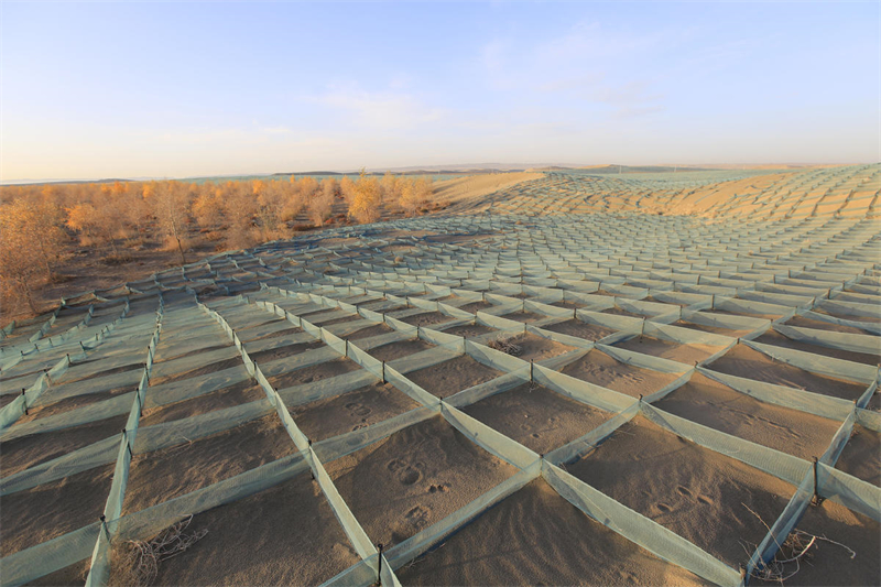 Refloresta??o em massa contribui para controle de tempestades de areia no noroeste da China