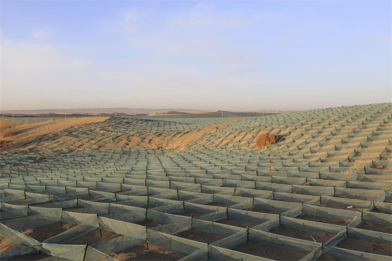 Refloresta??o em massa contribui para controle de tempestades de areia no noroeste da China