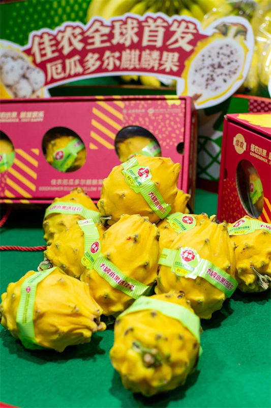 A 6a CIIE inaugurada em Shanghai