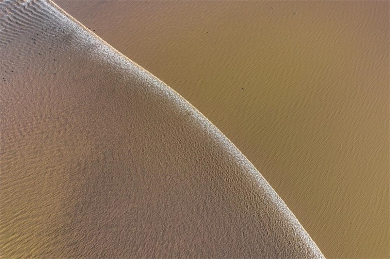 Veja as aves sobrevoarem a maré do rio Qiantang