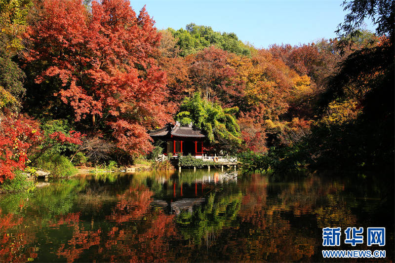 Nanjing: montanha Qixia inaugura época de aprecia??o de folhas de ácer