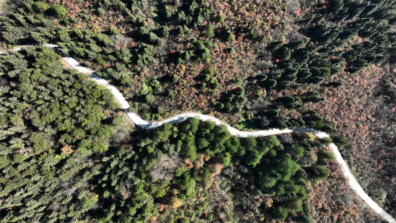Galeria: Reserva Natural Nacional do Rio Dasha, sudoeste da China