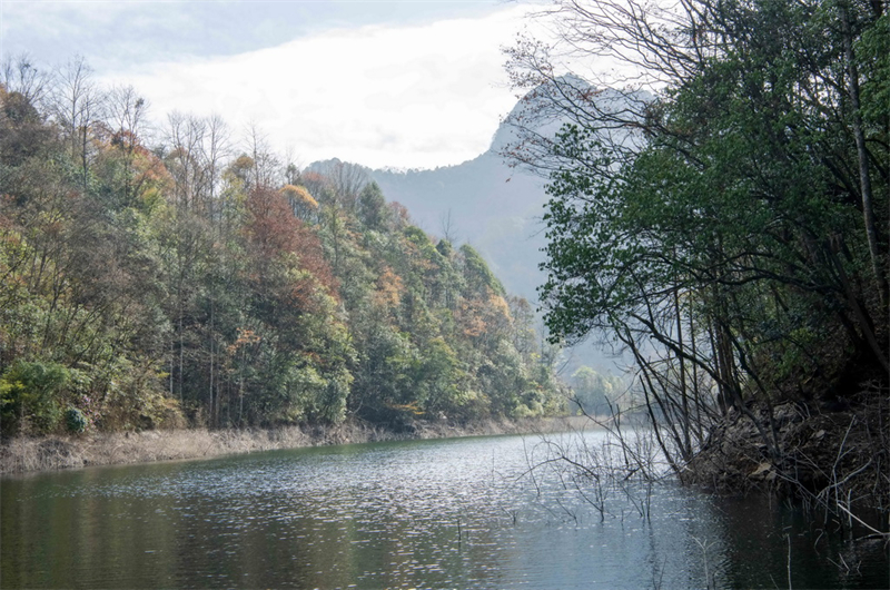 Galeria: Reserva Natural Nacional do Rio Dasha, sudoeste da China