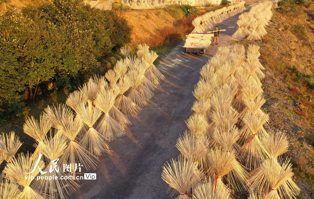 Jiangxi: indústria de processamento de bambu contribui para revitaliza??o rural