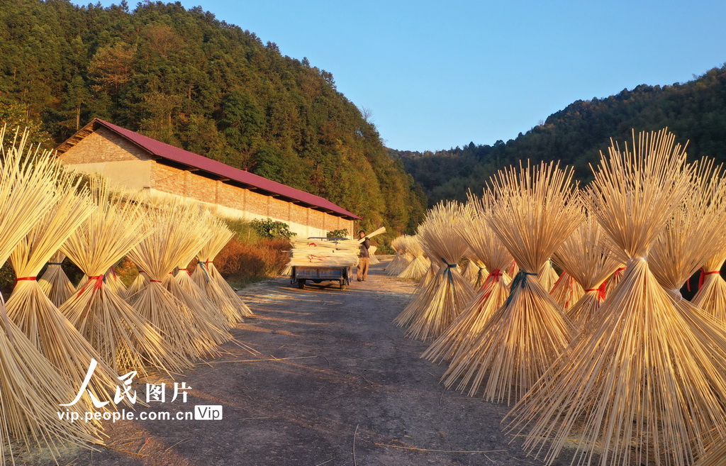 Jiangxi: indústria de processamento de bambu contribui para revitaliza??o rural
