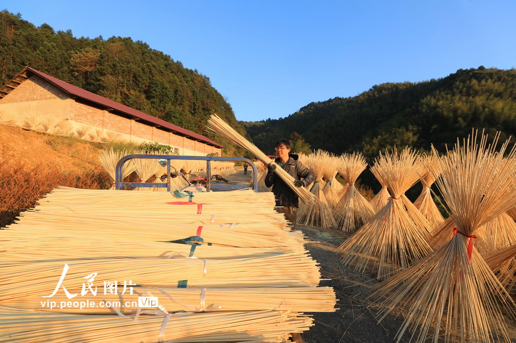 Jiangxi: indústria de processamento de bambu contribui para revitaliza??o rural