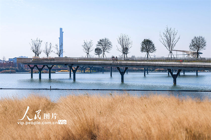 Shanghai: Ponte de Pedestres Yuandang torna-se destino turístico popular