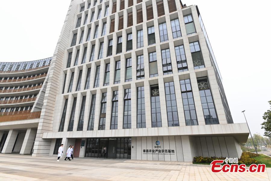 Galeria: horta vertical automatizada mais alta do mundo