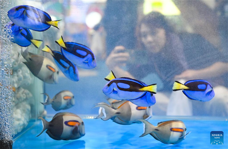 26a Feira Internacional de Inverno de Produtos Agrícolas Tropicais da China é iniciada em Hainan