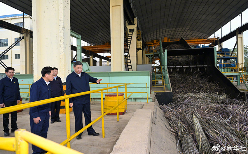 Xi Jinping inspeciona cidade de Laibin, em Guangxi, no sul da China