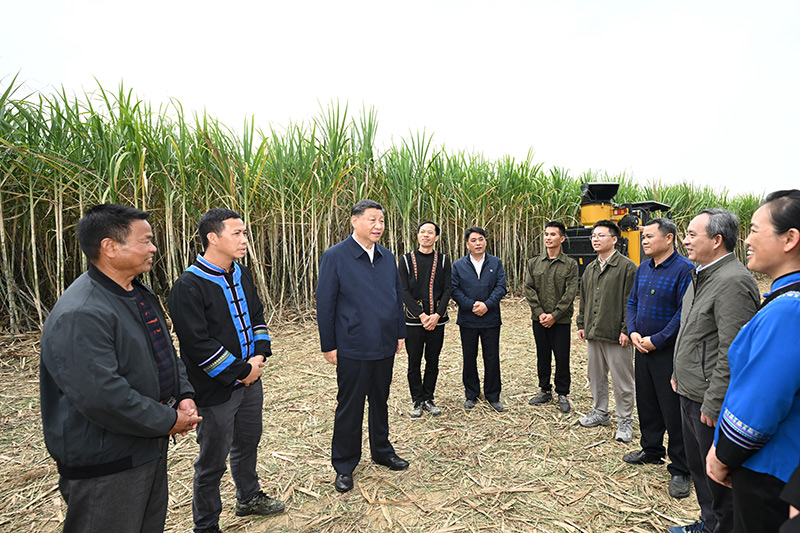 Xi Jinping pede que Guangxi escreva seu capítulo na moderniza??o chinesa