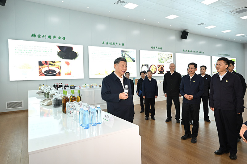 Xi Jinping pede que Guangxi escreva seu capítulo na moderniza??o chinesa