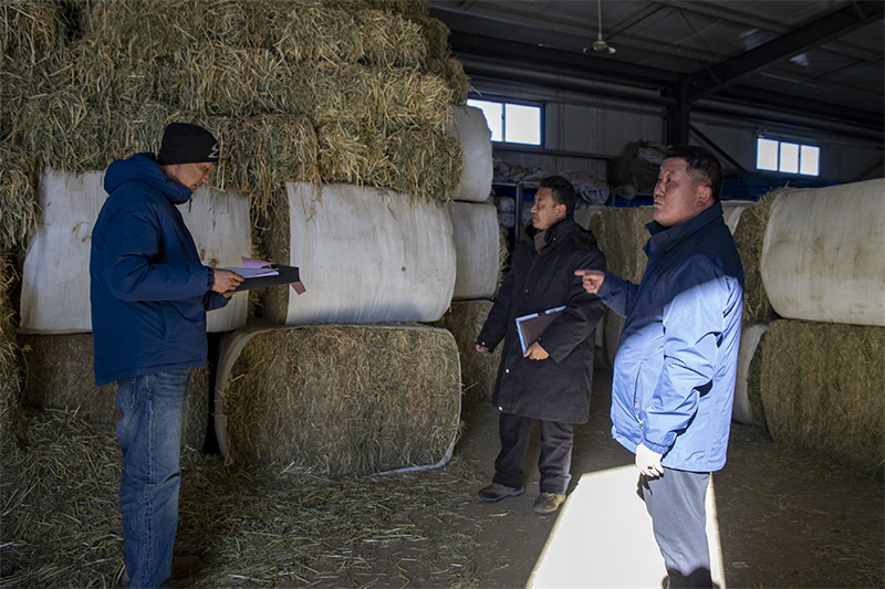 Regi?o de pastoreio ao norte do Xizang possui suprimentos adequados para inverno