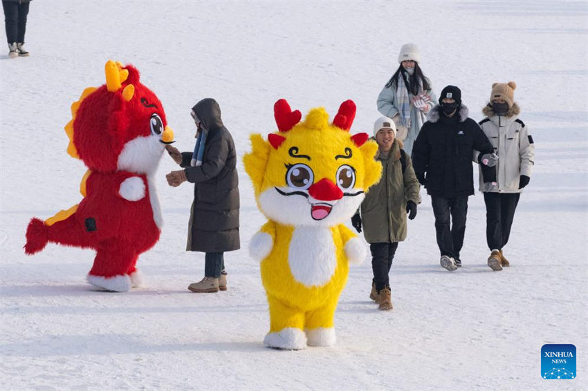 Heilongjiang torna-se destino popular para turismo de inverno na China