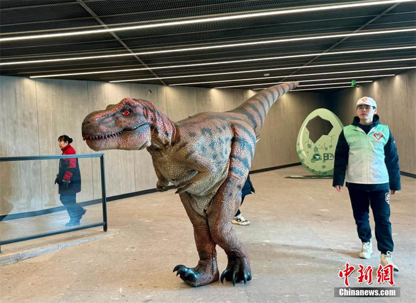 Maior museu natural da ásia é aberto no norte da China