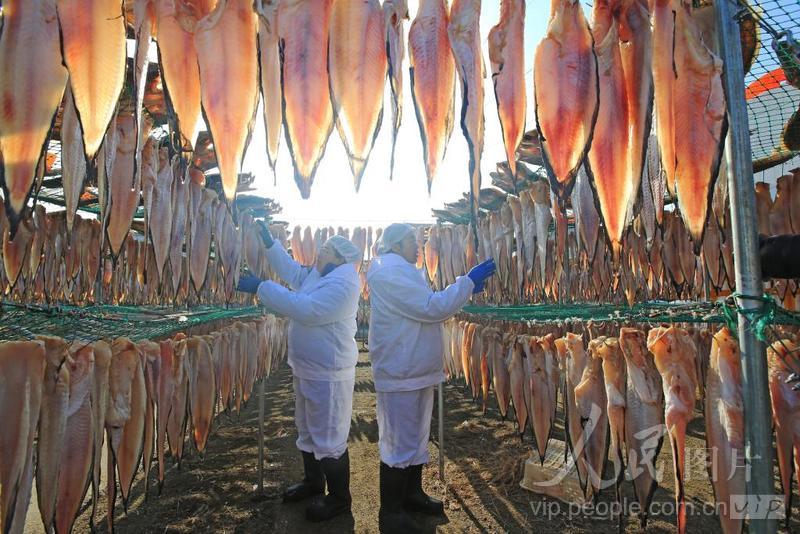 Shandong inicia temporada de secagem de peixes