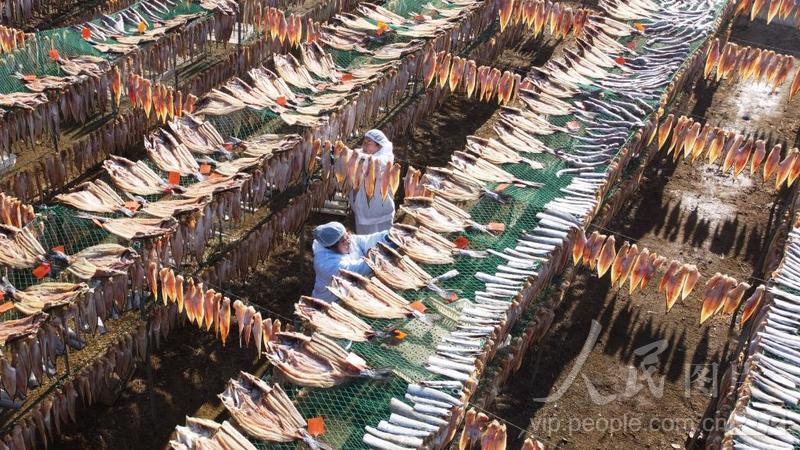 Shandong inicia temporada de secagem de peixes