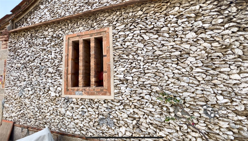 A viagem da concha de ostra da costa leste da áfrica até a China