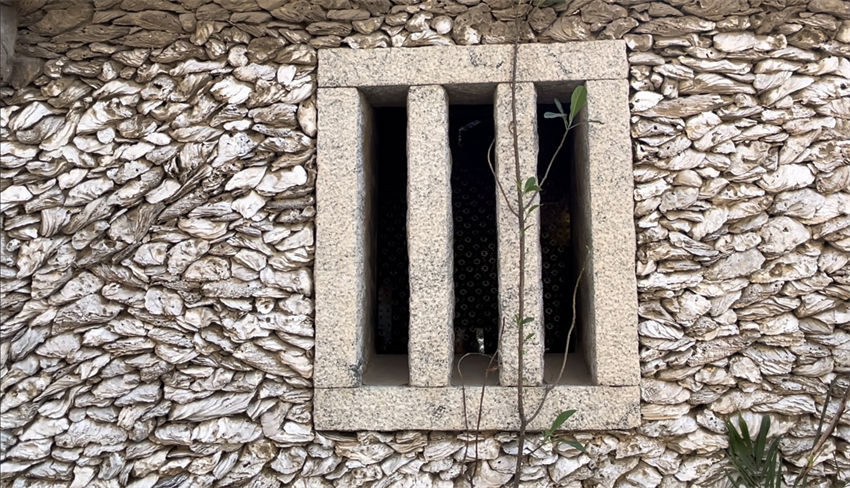 A viagem da concha de ostra da costa leste da áfrica até a China