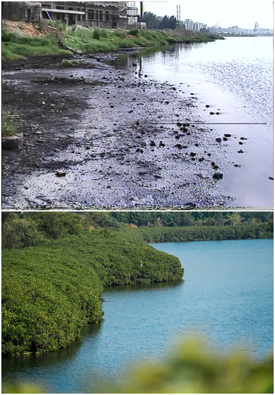Lago Yundang: de lago poluído ao pulm?o verde da cidade