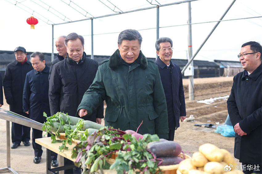 Xi Jinping visita povo em Tianjin antes da Festa da Primavera