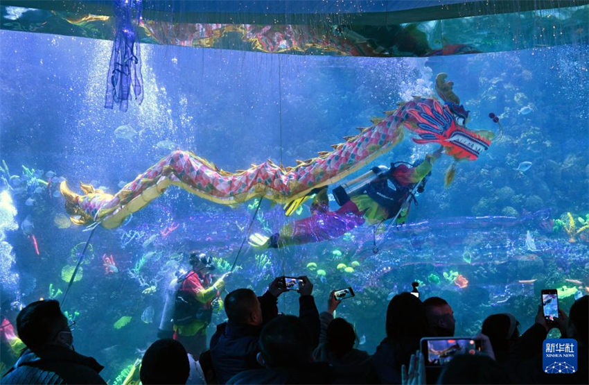 Qingdao realiza performance de dan?a do drag?o subaquática para receber Festival da Primavera