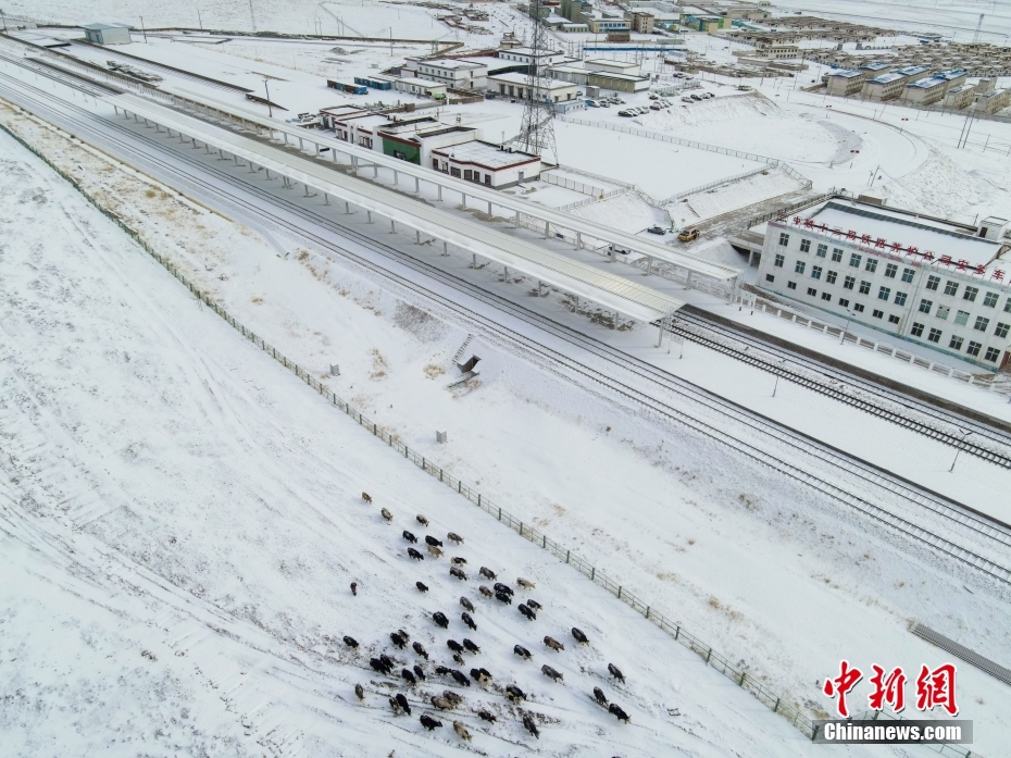 Xizang: esta??o ferroviária de Anduo recebe pico de viagens da Festa da Primavera