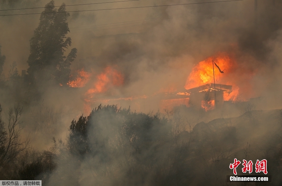 Incêndios florestais deixam 46 mortos e rasto de destrui??o em regi?o turística do Chile