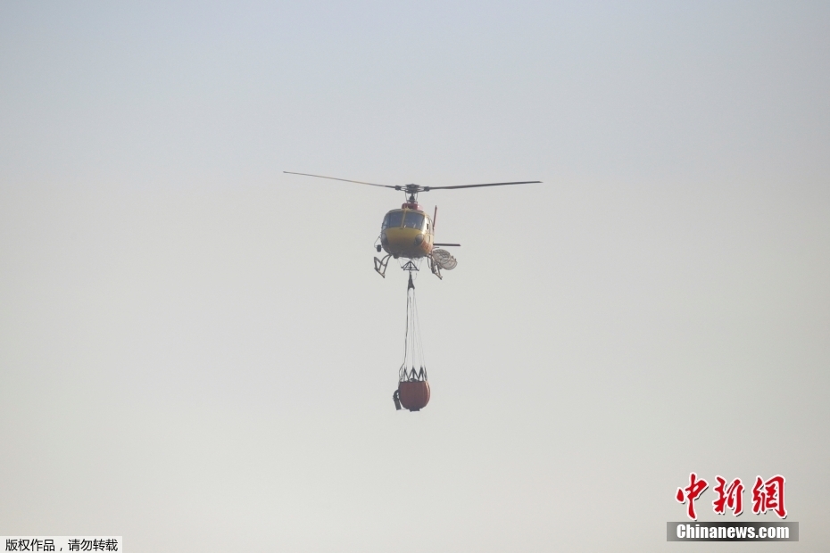 Incêndios florestais deixam 46 mortos e rasto de destrui??o em regi?o turística do Chile