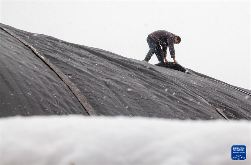 Cidades chinesas tomam medidas para responder a nevascas e chuvas torrenciais