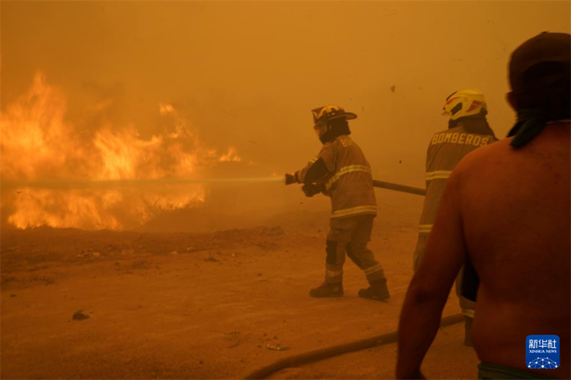 Incêndios florestais no centro do Chile causam morte de 99 pessoas