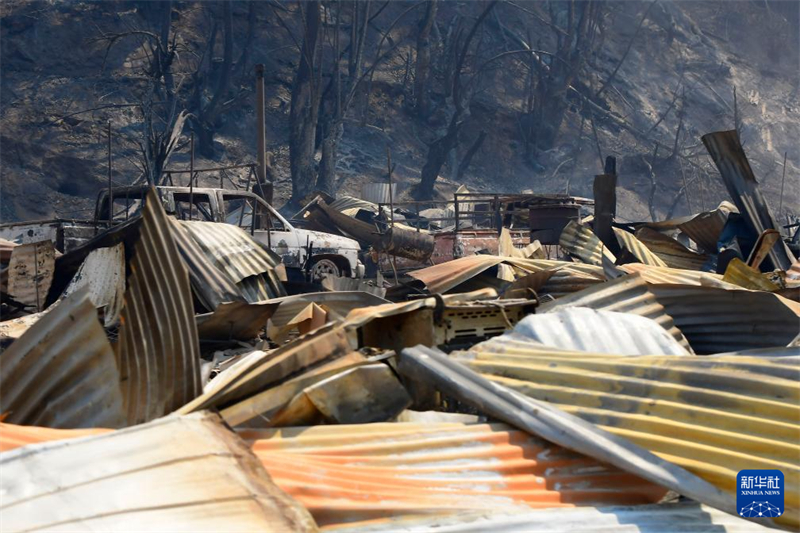 Incêndios florestais no centro do Chile causam morte de 99 pessoas