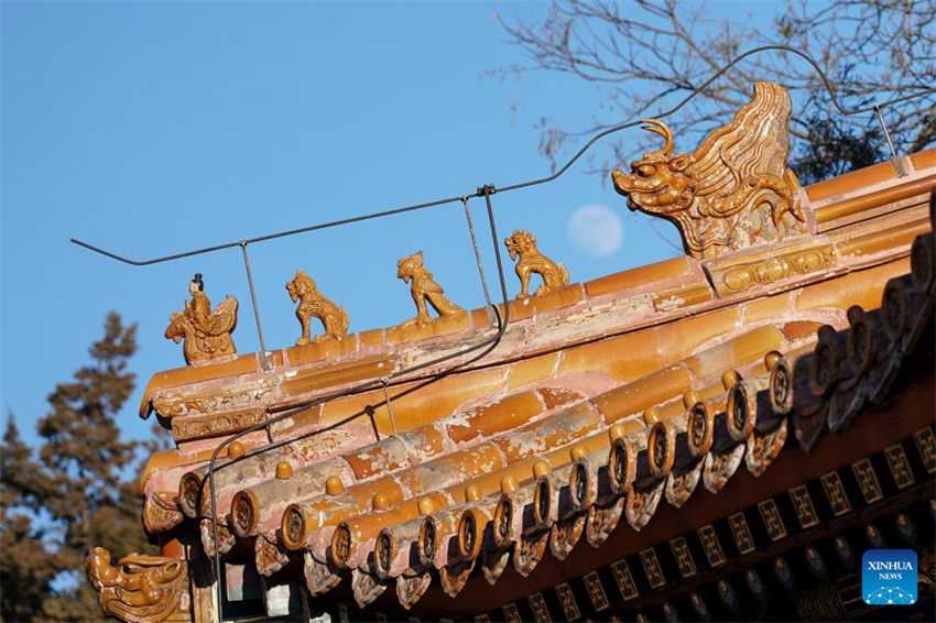 Elementos festivos com tema de “drag?o” s?o vistos no Eixo Central de Beijing