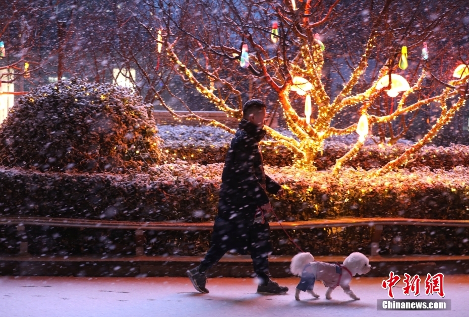Beijing recebe primeira queda de neve do Ano do Drag?o