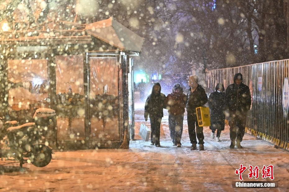 Beijing recebe primeira queda de neve do Ano do Drag?o