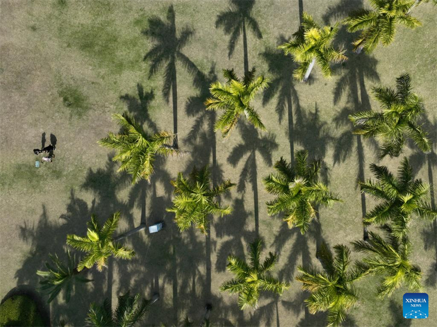 Lago Yundang em Xiamen atravessa processo de reabilita??o ecológica