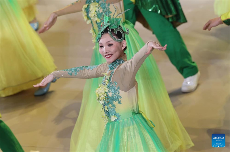 Jogos Nacionais de Inverno da China s?o finalizados