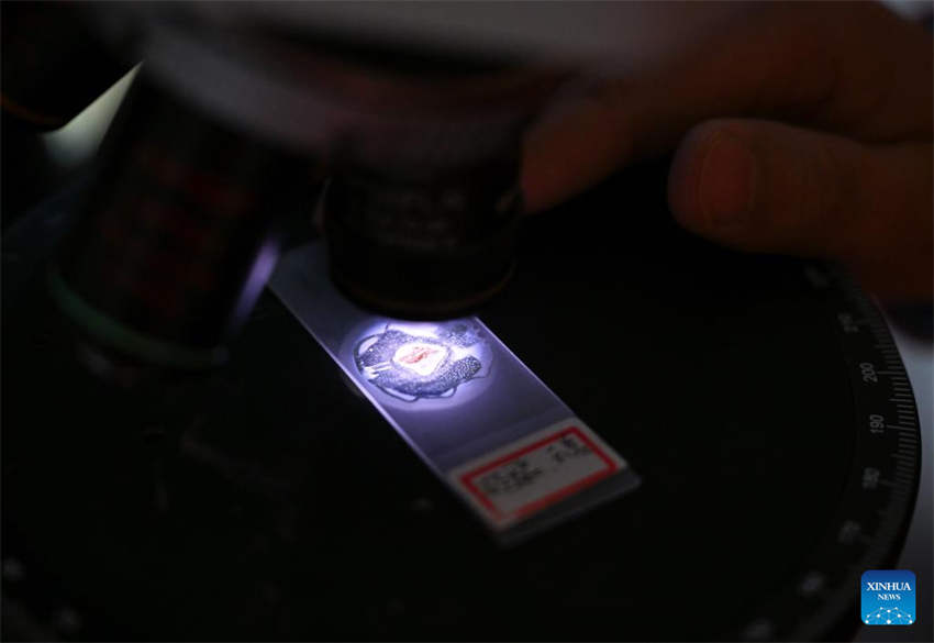 Perfura??o de po?o profundo na China ultrapassa 10 mil metros