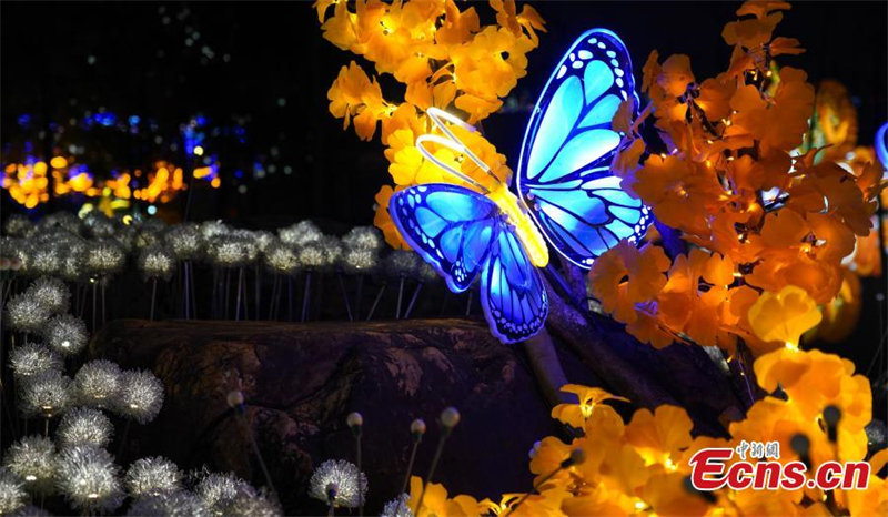 'Mundo misterioso' iluminado no sul da China