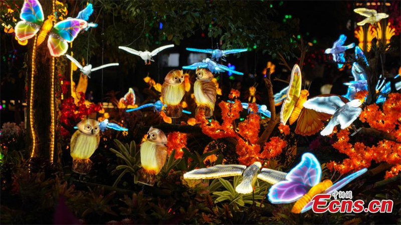 'Mundo misterioso' iluminado no sul da China