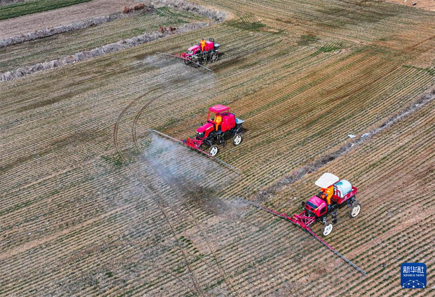 China inicia temporada da lavoura da primavera