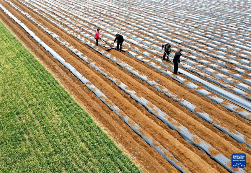 China inicia temporada da lavoura da primavera