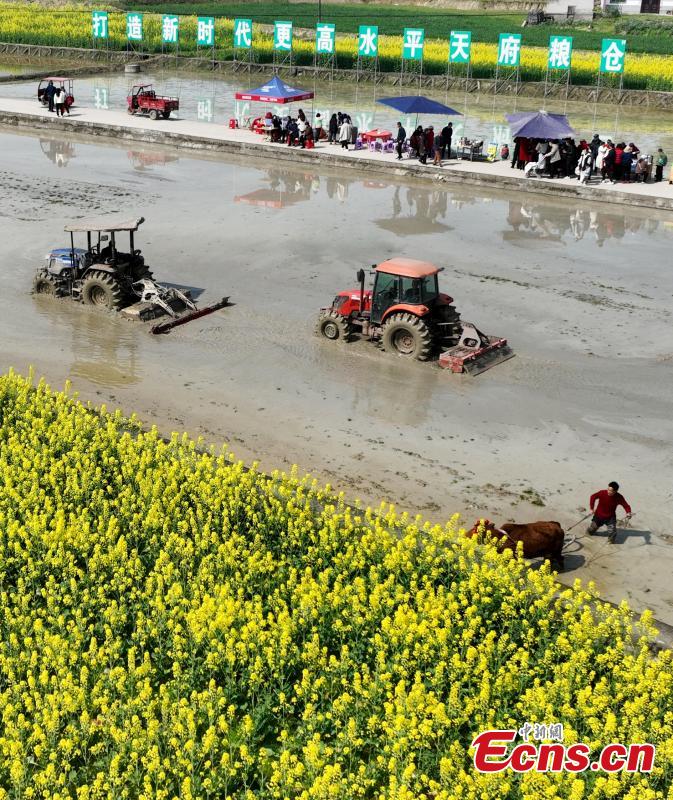Temporada de lavra da primavera come?a no sudoeste da China